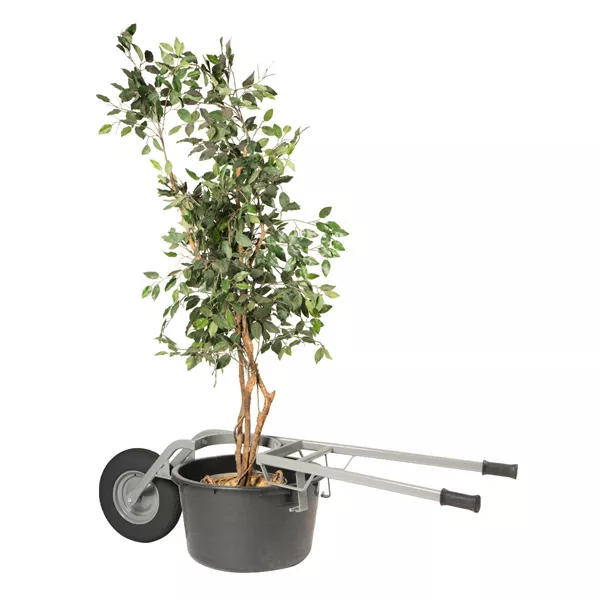Transport de plantes