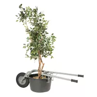 Transport de plantes